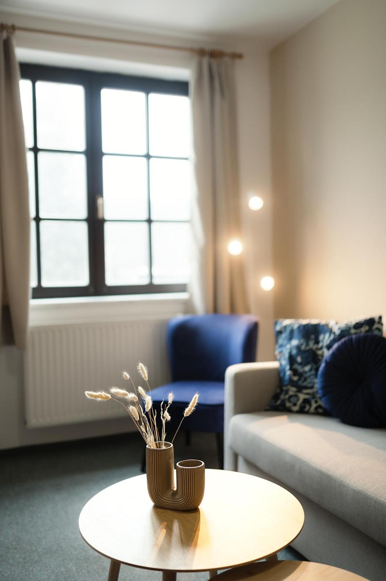 Cerveny Mlyn Hotel Tisnov